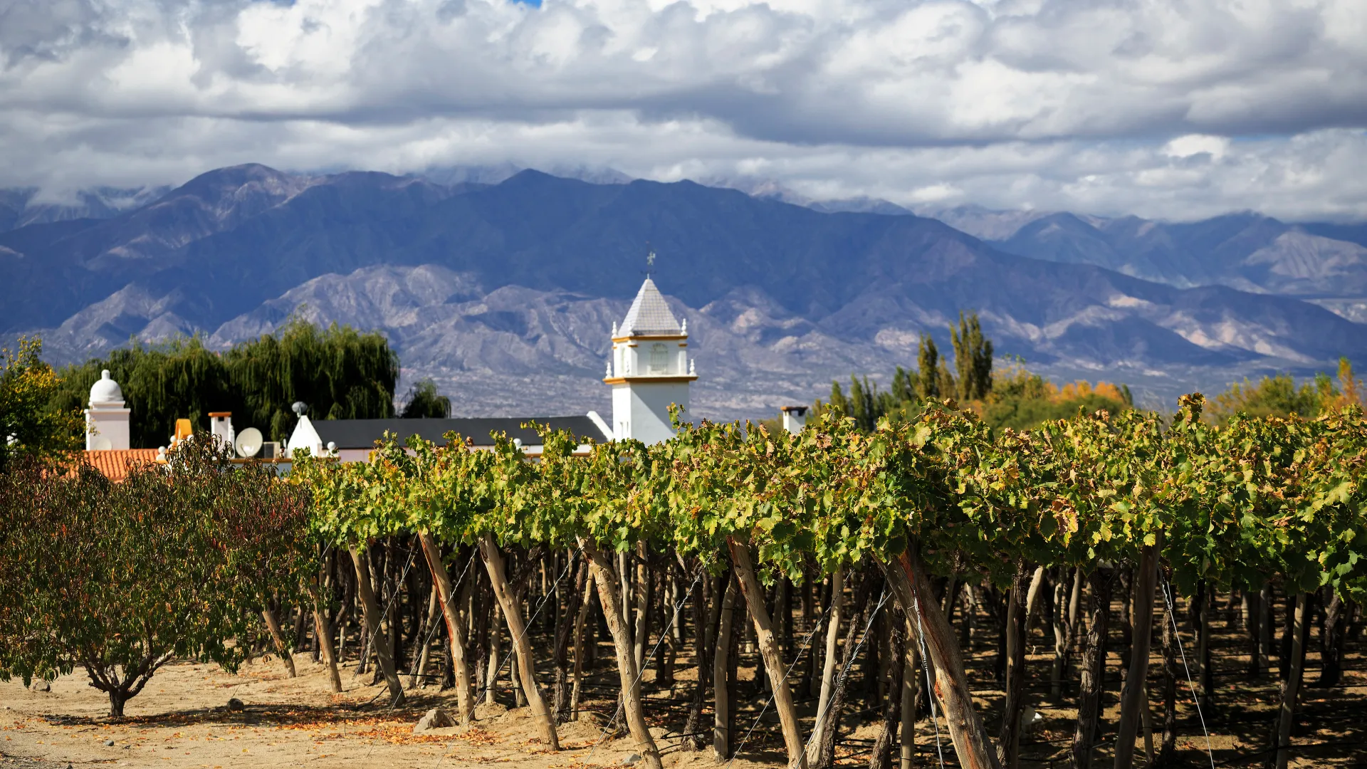 Argentina - our guide to the country's best wine regions